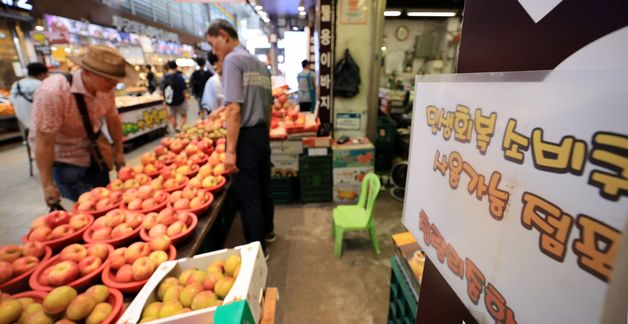 7월 소비쿠폰 효과 '톡톡'… 2년5개월만에 소매판매 최대 증가
