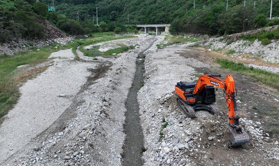 '극한 가뭄' 말라붙은 강릉‥긴급 '재난사태' 선포