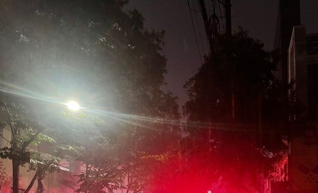 폭우에 도로로 쓰러진 나무