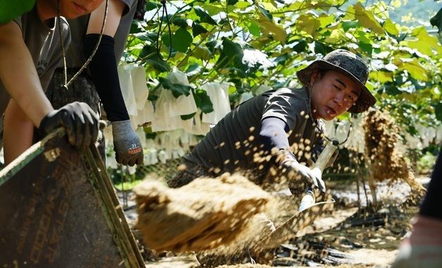 \'하루빨리 일상으로\'…대민지원 나선 육군 장병들