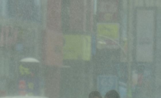 소나기 때문에 앞이 안보여요