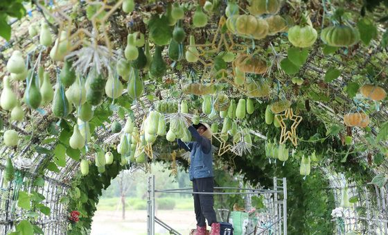 가을이 다가옵니다