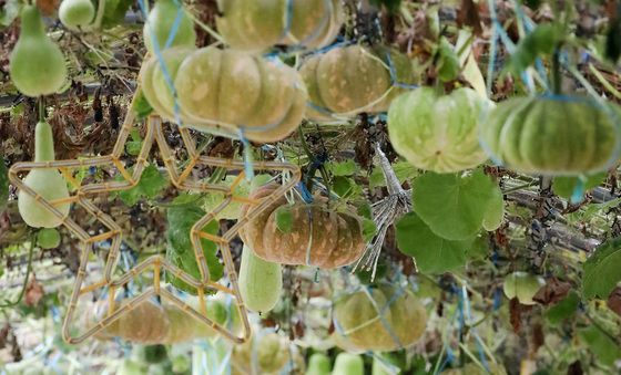 가을이 다가옵니다