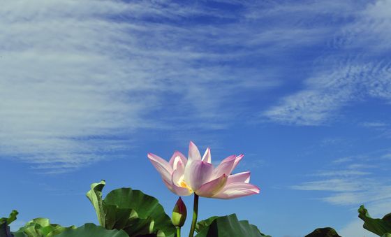 가을로 가는 문턱