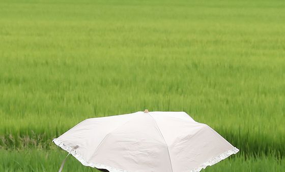 '입추' 아직 덥네