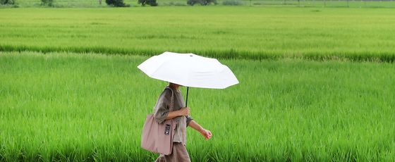 '입추' 아직 덥네