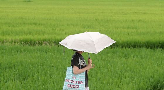 '입추' 아직 덥네