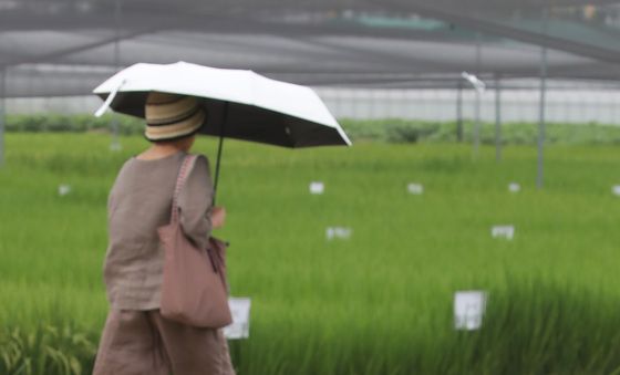 '입추' 아직 덥네