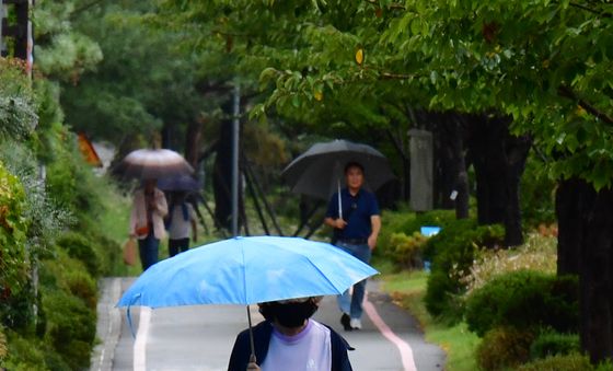 가을비 내리는 철길 숲