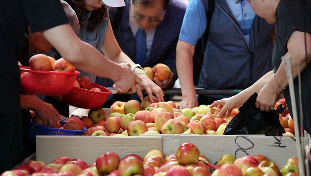 '과일‧채소 안정세'에 추석 차례상 비용, 4년 만에 20만 원대로 하락