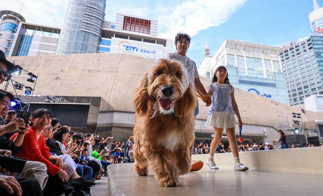 반려견과 함께하는 패션쇼 '댕댕 런웨이'