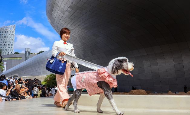 반려견 제로웨이스트 패션쇼 개최