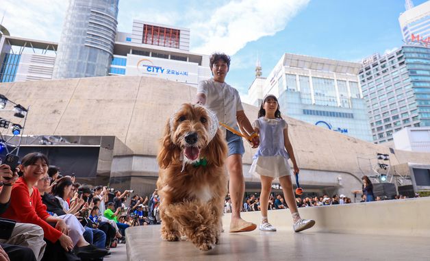 반려견과 함께해요! '댕댕 런웨이'