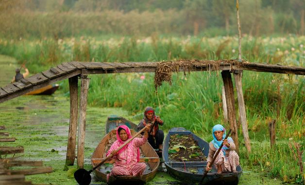 [포토] 배 젓는 인도 카슈미르 여성들
