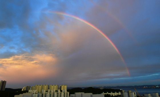 포항에 뜬 쌍무지개