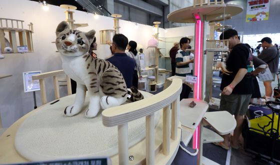 다양한 고양이 제품 체험하는 관람객들