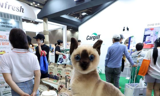 사랑스러운 고양이 문화가 한자리에