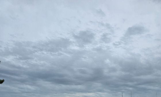 플로깅 캠페인에 나선 현대 블루핸즈