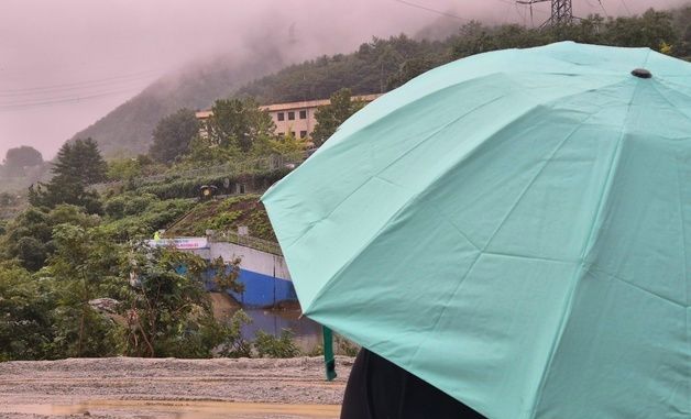 강릉에 또 찾아온 단비