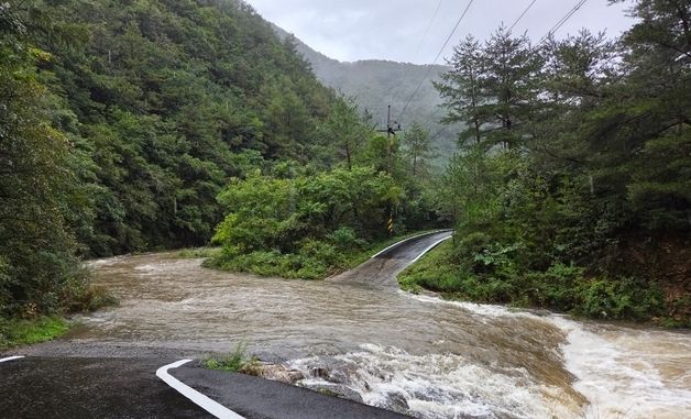 호우에 범람한 정선 화암면 도로…성묘객 고립
