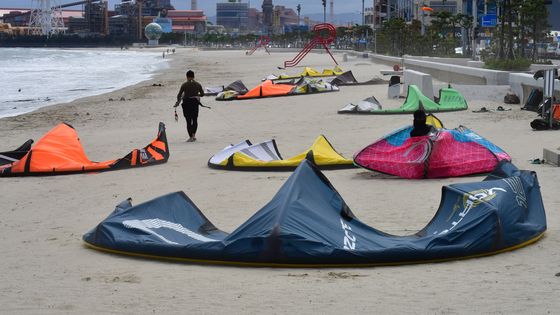 가을 파도 즐길 준비 중