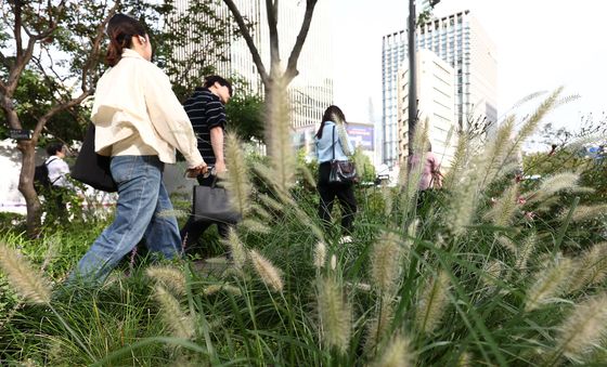 일교차 큰 초가을 날씨