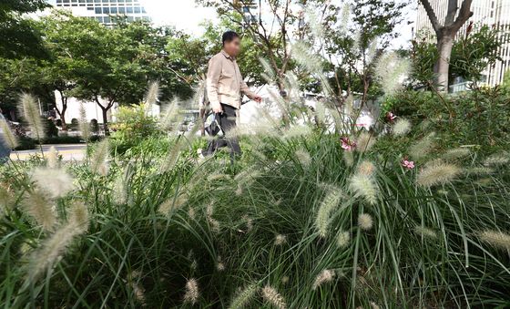 갑자기 다가온 가을