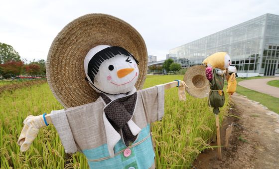 성큼 들어선 가을