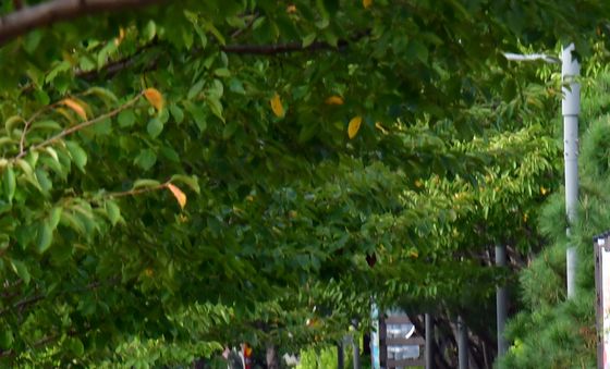 긴팔 옷이 필요한 날