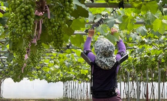 현대차·기아-농진청, '엑스블 숄더'로 농업환경 개선