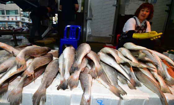 '차례상용 민어'