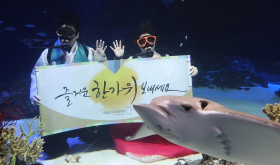 "즐거운 한가위 보내세요"