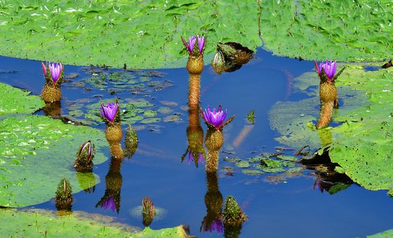 보기만 해도 예뻐요