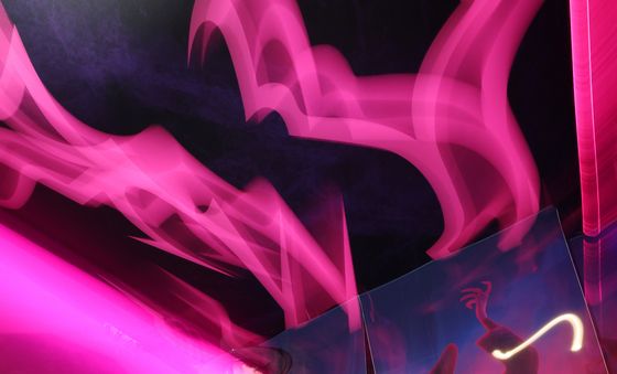 사자보이즈와 함께