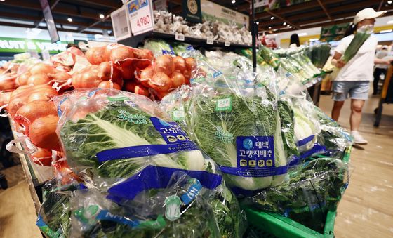 '배추 가격은 언제 잡히려나'