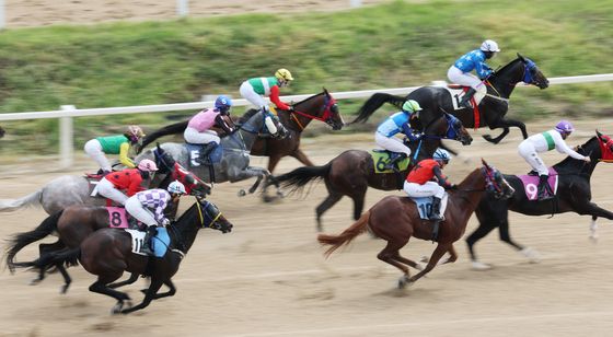 2025 OBS 코리아컵&코리아스프린트 개막