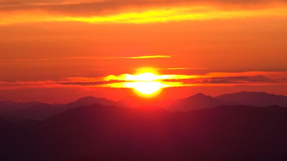 붉은 말의 해 '새해 첫 일출'