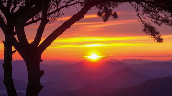 붉은 말의 해 '새해 첫 일출'