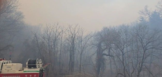 경북 의성 산불로 주민 대피령