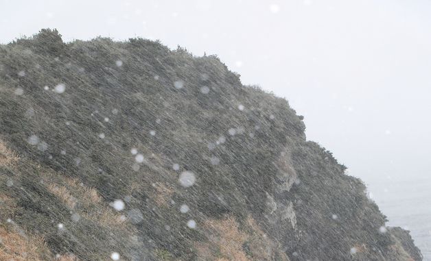 눈 내리는 제주