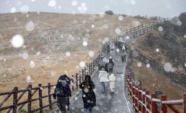 꽁꽁 언 제주, 폭설과 강풍