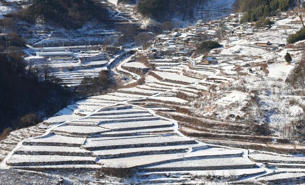 소복하게 눈 쌓인 다랑이 논