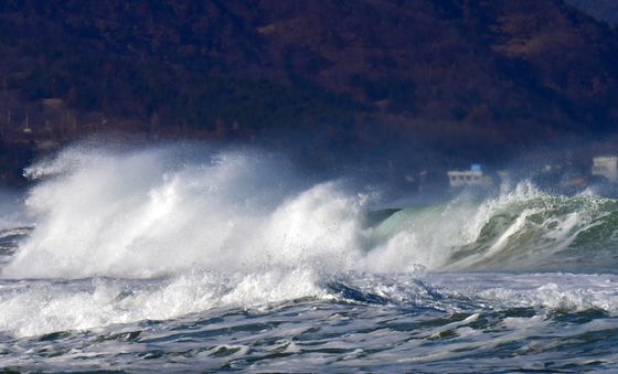 풍랑주의보 발령된 포항 '높은 파도'