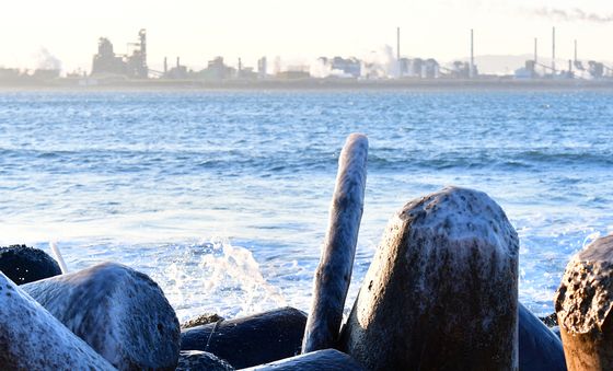 바닷물까지 얼게 만든 동장군