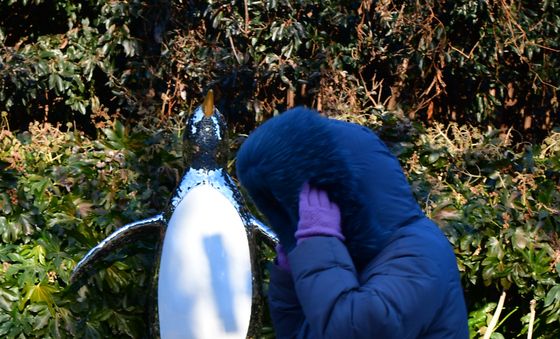 북극 추위 찾아온 포항