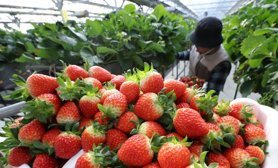 달콤한 향이 가득