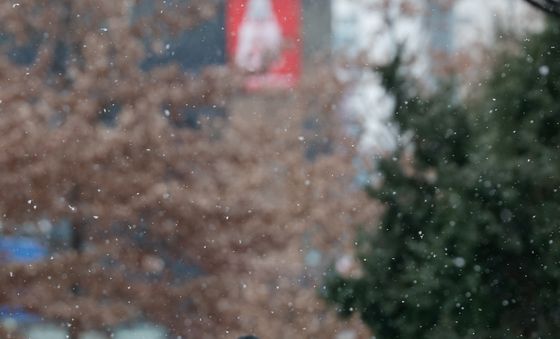 눈 내리는 서울