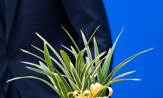 이재명 대통령이 한병도 민주당 신임 원내대표에게 보낸 축하 난