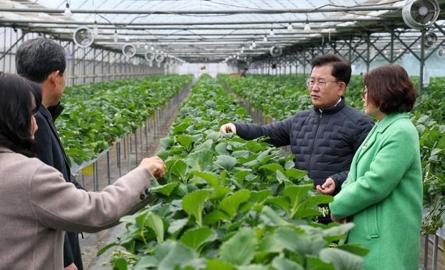 겨울철 시설재배 현장 점검 나선 이승돈 농진청장