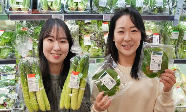 롯데마트, 스마트팜 깻잎·오이 선보여